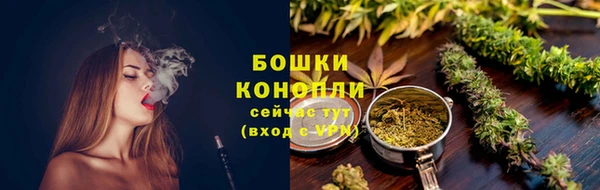 прущие грибы Няндома