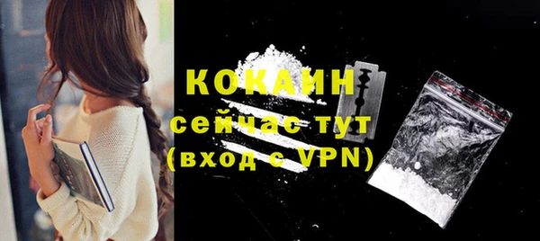 прущие грибы Няндома