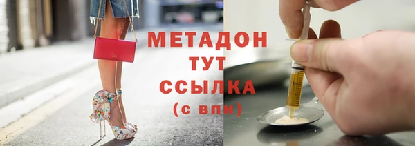 прущие грибы Няндома