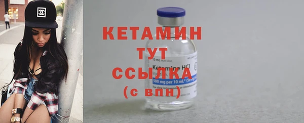 прущие грибы Няндома