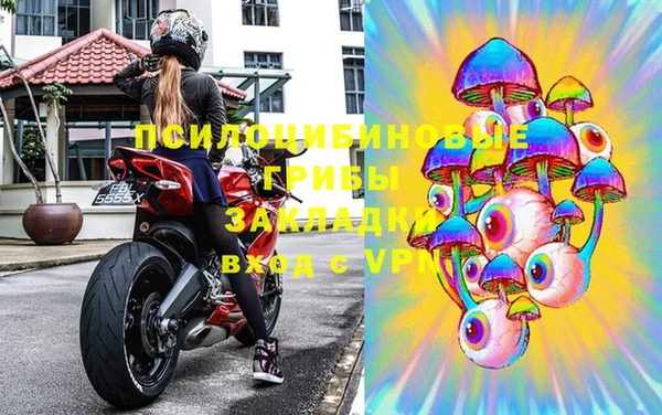 прущие грибы Няндома