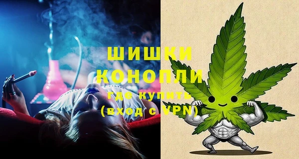 стафф Ветлуга