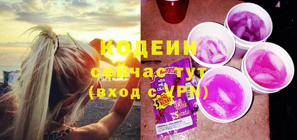 прущие грибы Няндома