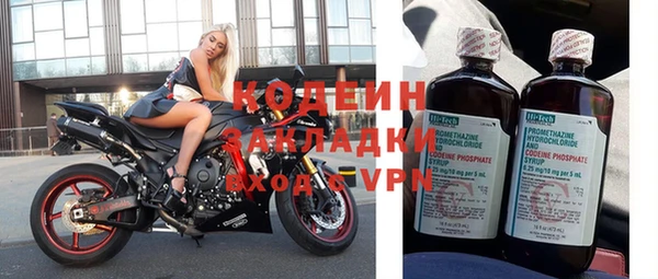 прущие грибы Няндома