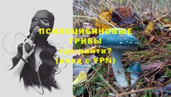 прущие грибы Няндома
