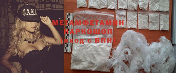 прущие грибы Няндома