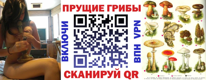 Псилоцибиновые грибы Magic Shrooms  Тырныауз 