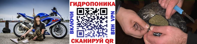 Конопля Bruce Banner  где продают наркотики  hydra tor  Тырныауз 